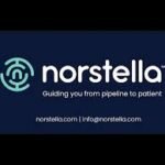 Work From Home Norstella Data analytics