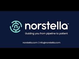 Work From Home Norstella Data analytics